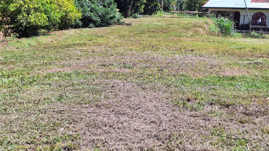 Costa Rica Real Estate