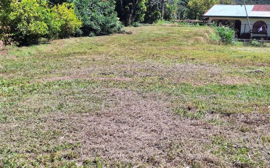 Beautiful land for sale Poas, Alajuela