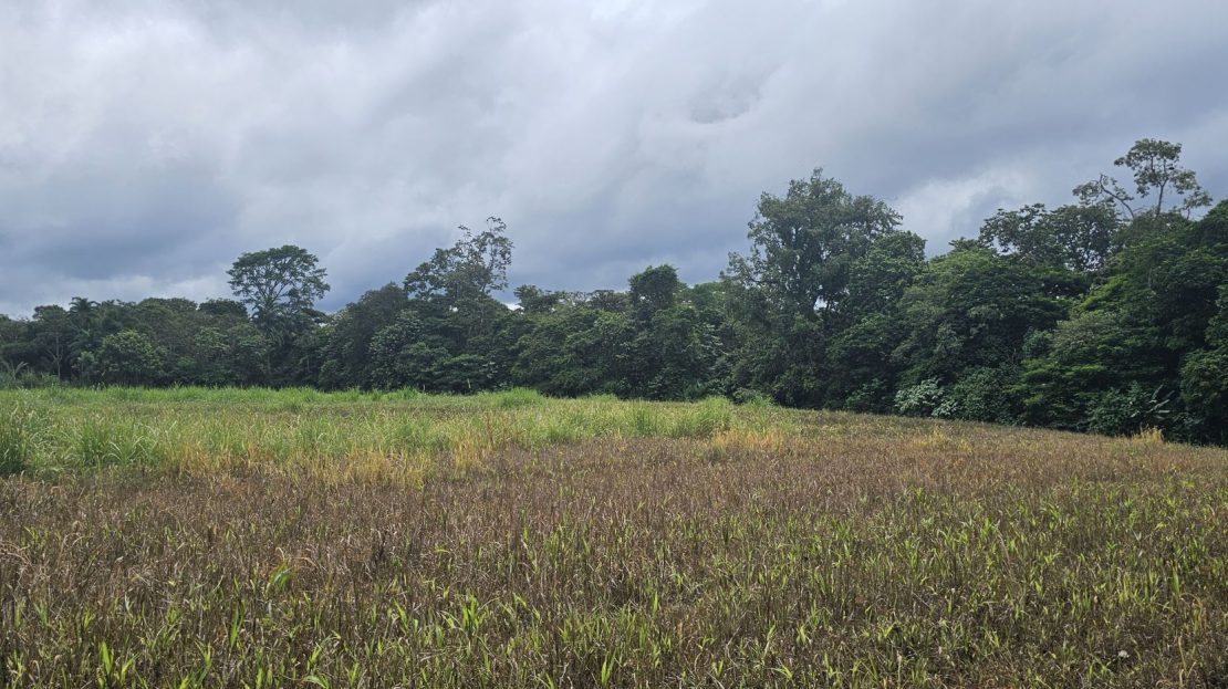 Costa Rica Real Estate