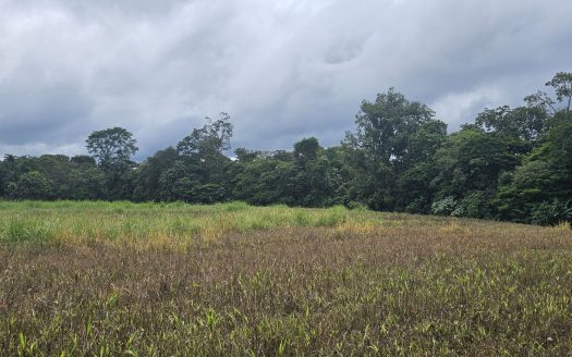 Prime Development Parcel – 99,000+ m² Flat Land Opportunity in Zona Fluca