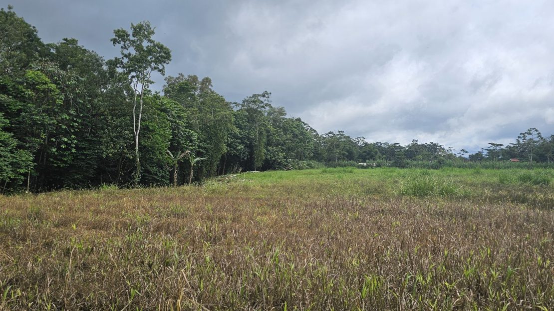 000+ m² Flat Land Opportunity in Zona Fluca