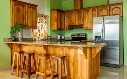 Amazing Mountain View Penthouse (12-2-3-4)