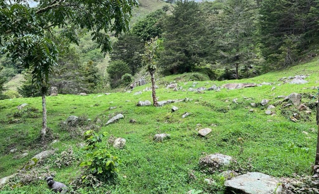 Herradura Farm for Sale: 107-Hectare (264.4 acres) Water and Forest Reserve in Chirripó