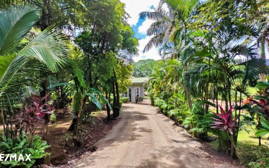 3 Ready-to-Build Lots Just 7 Minutes from the Beach