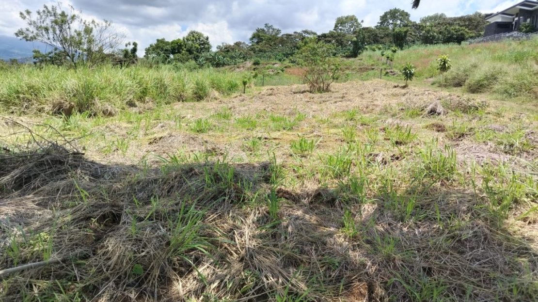 Lot for Sale in Grecia