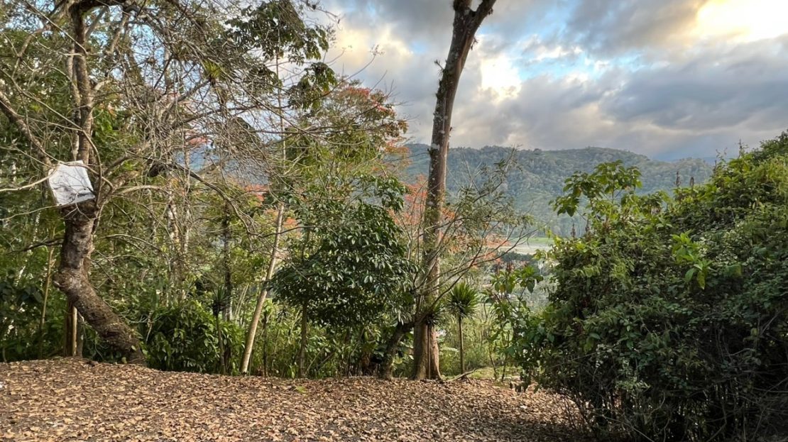 Large lot with a view of the lake. in terraces