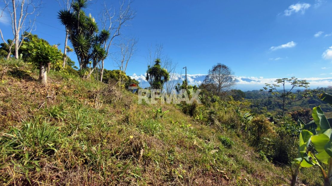 Costa Rica Real Estate
