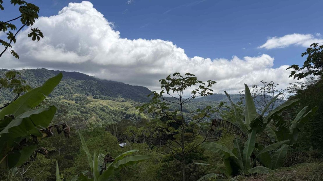 Costa Rica Real Estate