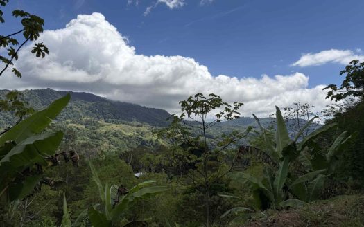 Jungle Lot with 3+ Building Sites, Legal Water, Electricity on Public Road with Big Valley & Mountain Views near San Josecito Costa Rica