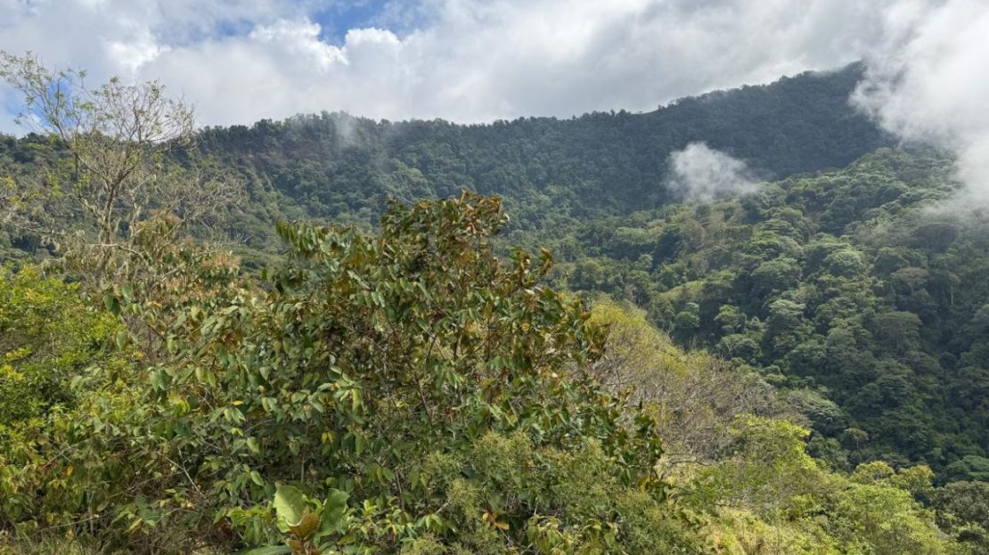 Costa Rica Real Estate