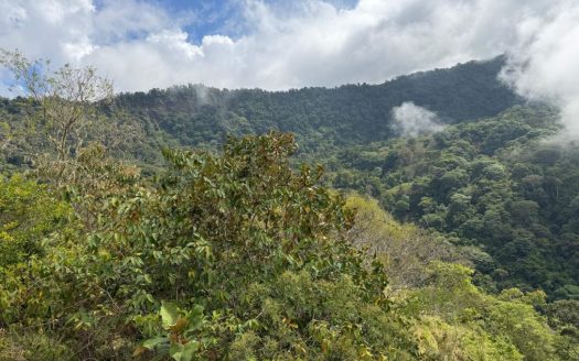 For Sale: 7-Acre Mountain Estate Just 25 Mins from the Pacific Coast