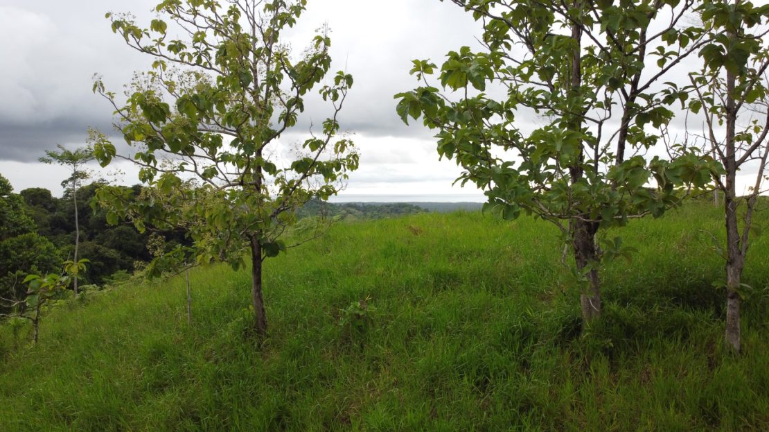 Ready to build lot 214  in Chontales