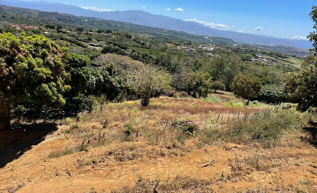 Prime Development Property for Sale in Poás