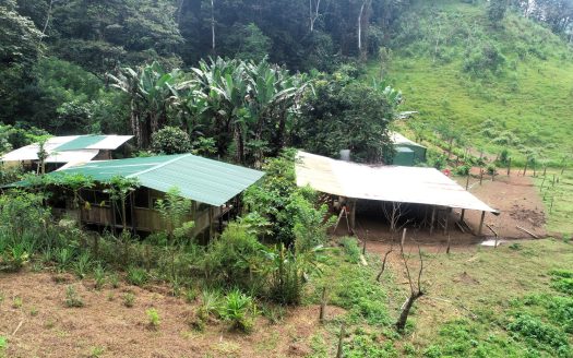 23 Hectares Permaculture Farm, with View, Primary Jungle in Chacarita