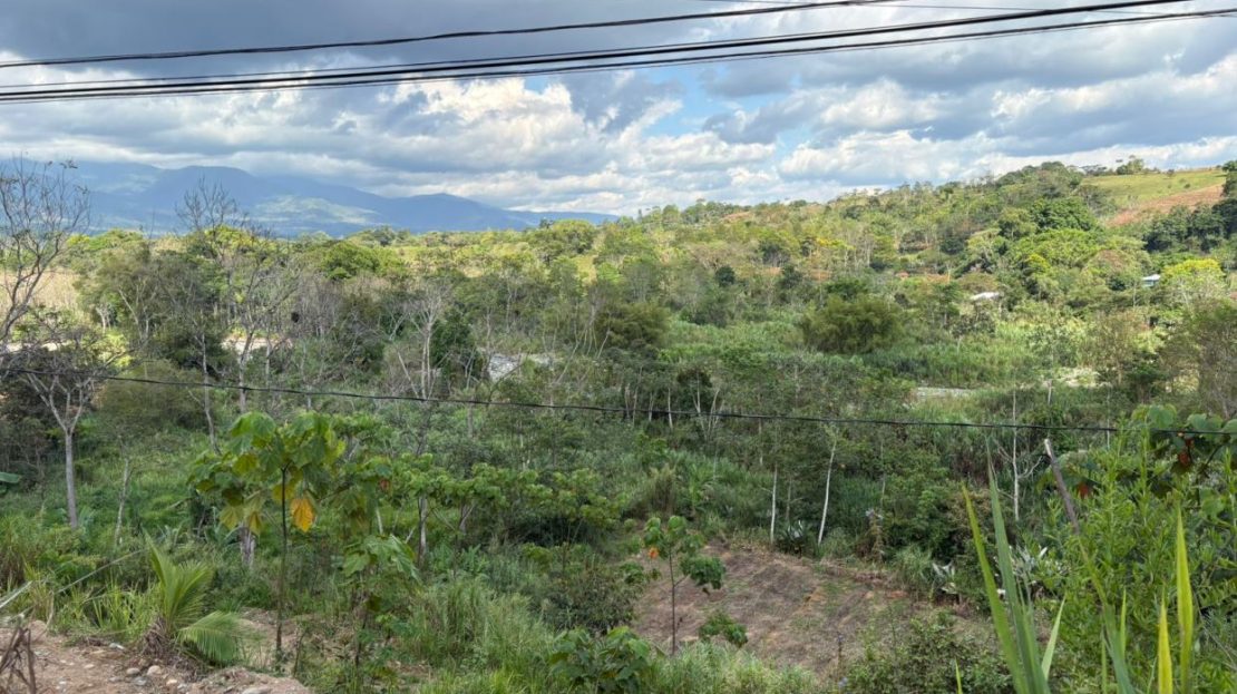 Costa Rica Real Estate