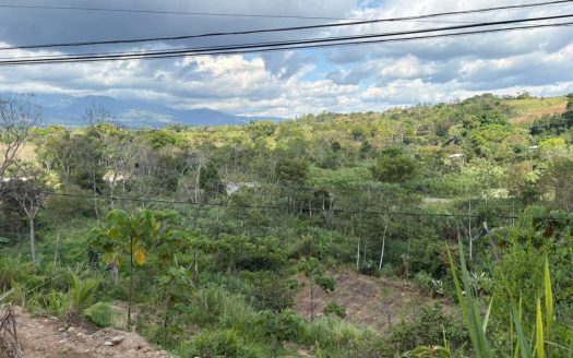 Spacious 10,000 m² Lot with Water and Electricity Available – Ideal for Investment or Your Dream Project