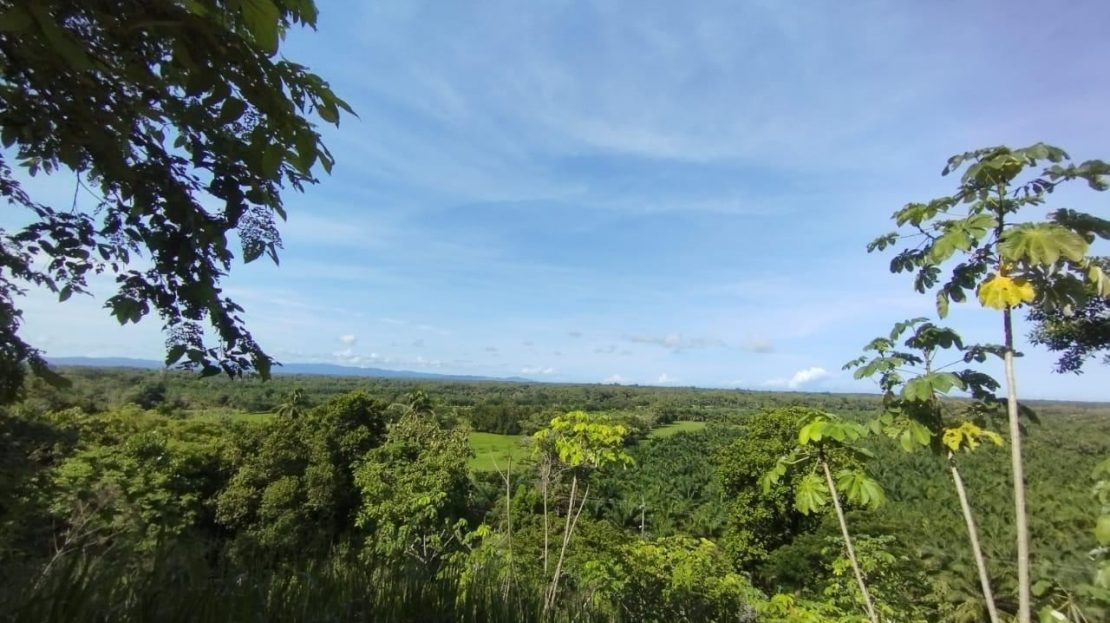 Costa Rica Real Estate