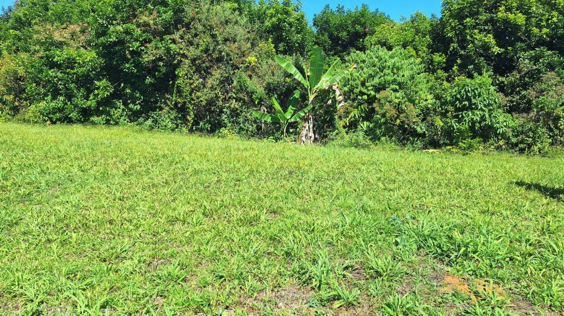 stunning Farm for sale in Santa Elena.