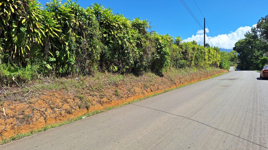 Costa Rica Real Estate