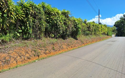 Hidden Tropical Gem, stunning Farm for sale in Santa Elena.