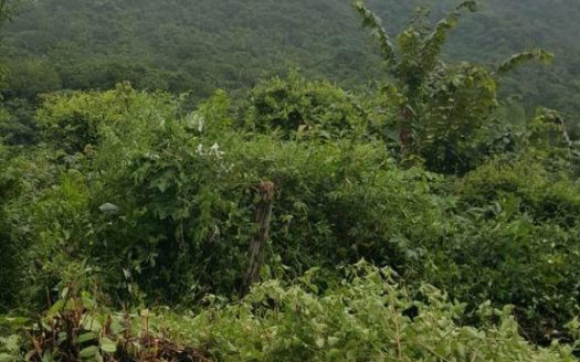 BARRIGONA BEACH PARADISE FOR SALE