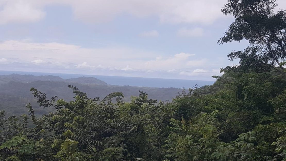 BARRIGONA BEACH PARADISE FOR SALE Guanacaste | REMAX