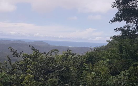 BARRIGONA BEACH PARADISE FOR SALE Guanacaste | REMAX