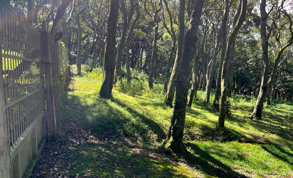 Costa Rica Real Estate