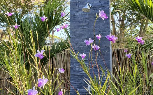 Boutique Retreat in Sámara – 2-Bedroom Home, 3 Cabinas, Large Pool & Multi-Purpose Studio, Walk to the Beach