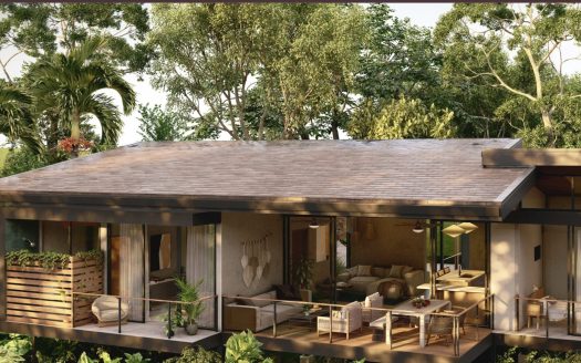 Bruma del Bosque- Shift Esperanza Community