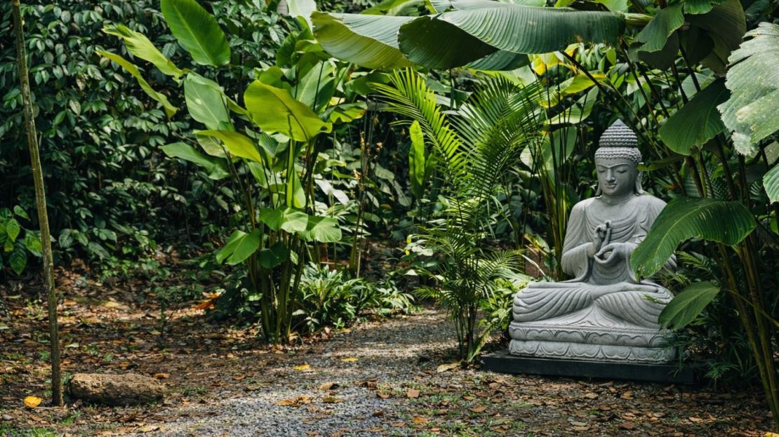 Two Premium Side-by-Side Lots at The Nest Costa Rica