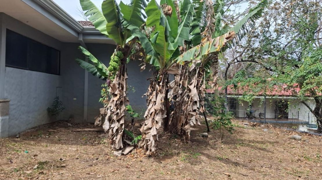 Mixed use property close to everything in La Guacima