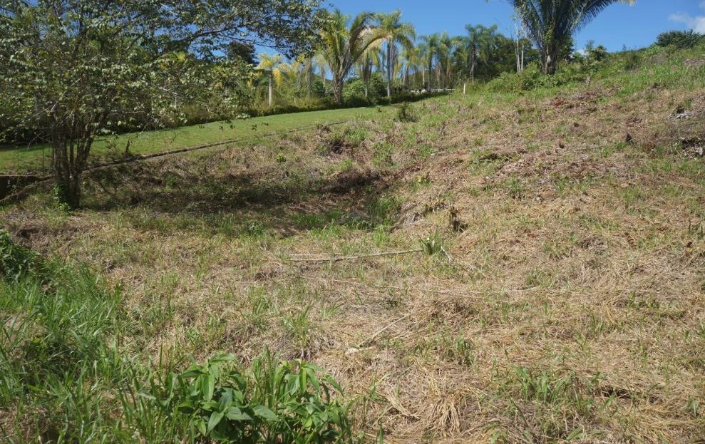Beautiful corner lot in Chontales de OSA with a magnificent hillside view and easy access.