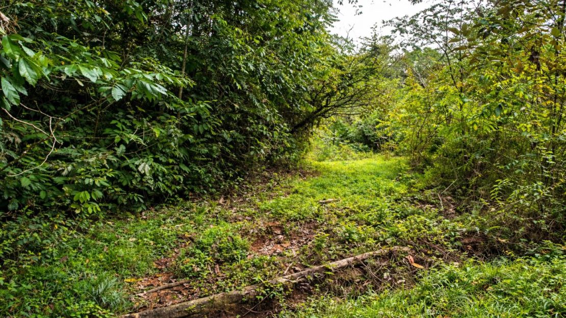 Costa Rica Real Estate