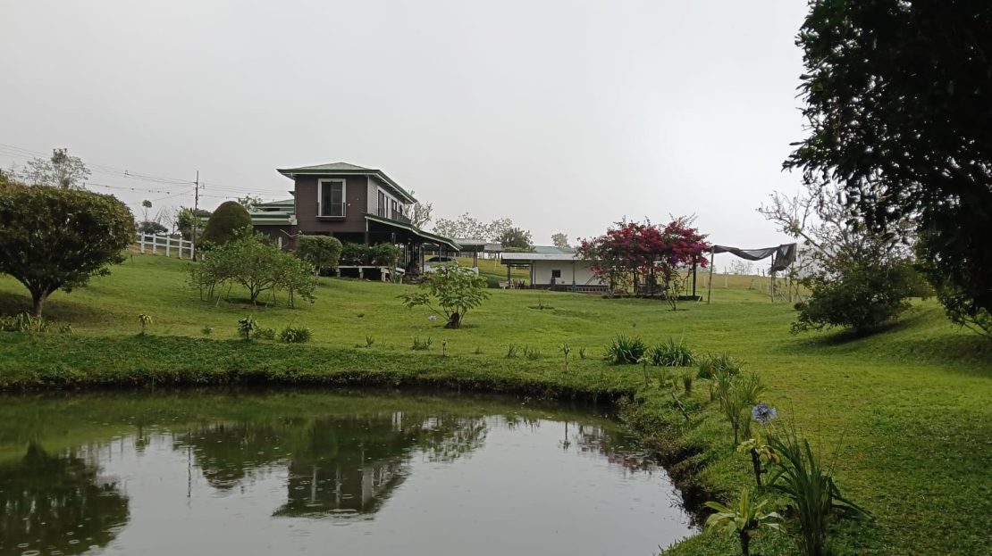 Coto Brus Real Estate Listings 30681