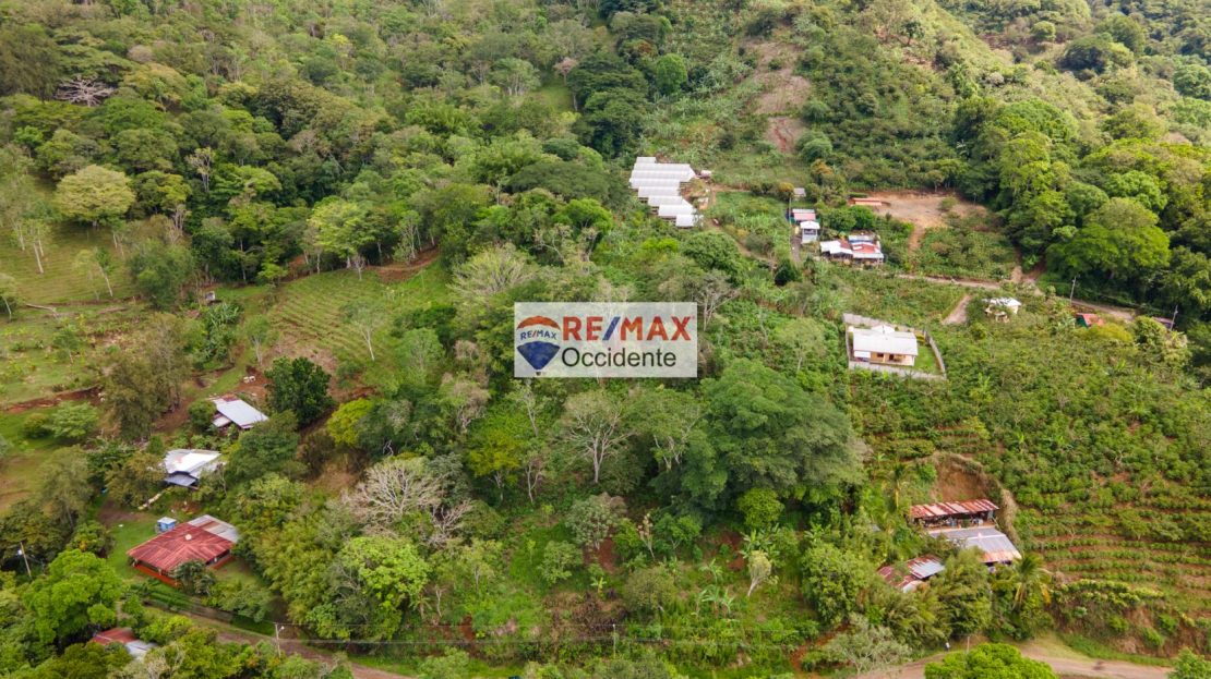 Costa Rica Real Estate