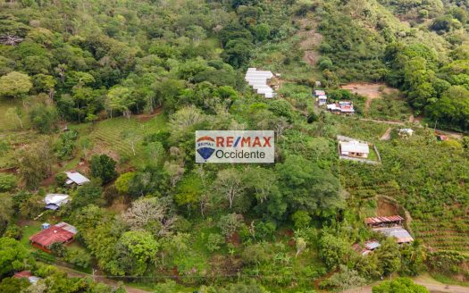Farm to sell, El Rosario de Naranjo, Alajuela