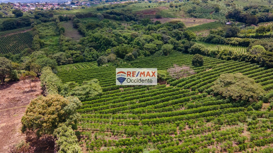 Costa Rica Real Estate