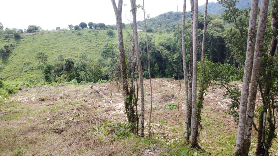 Costa Rica Real Estate