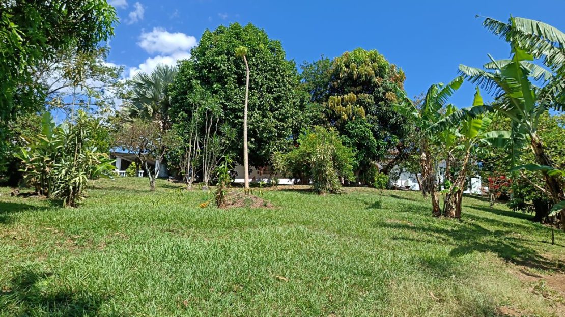 Valverde Vega Sarchí