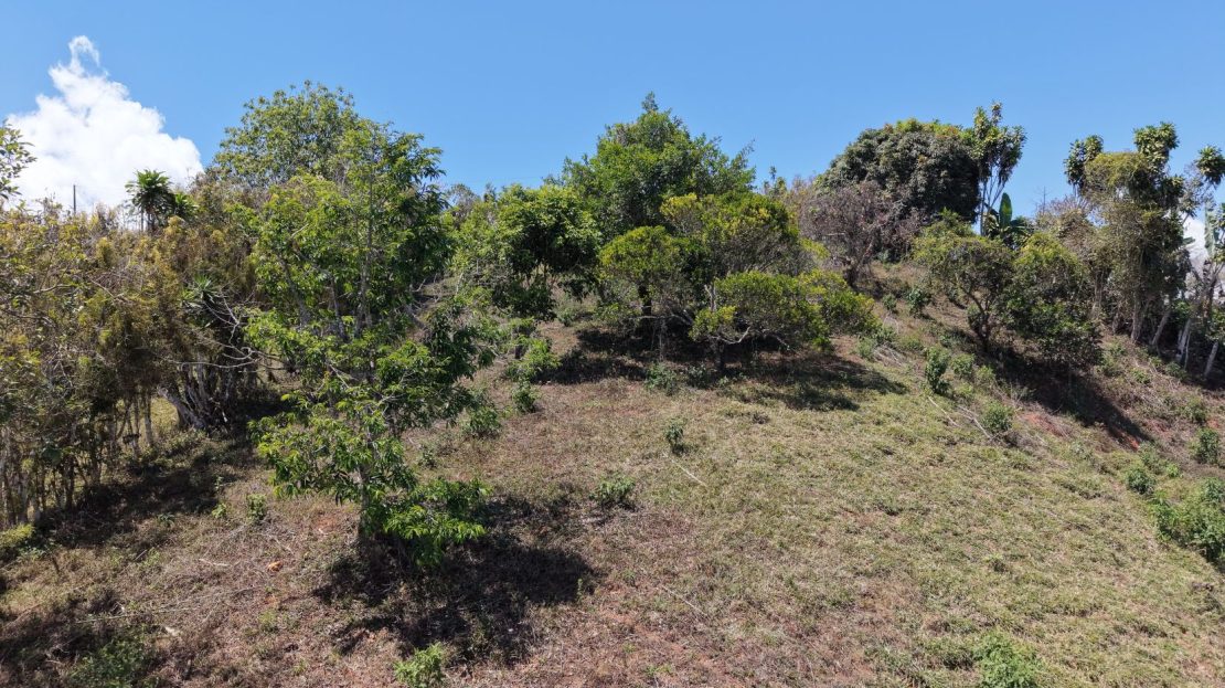 Pérez Zeledón – 2