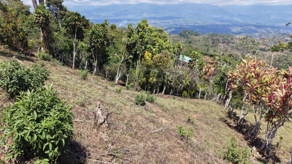 Costa Rica Real Estate