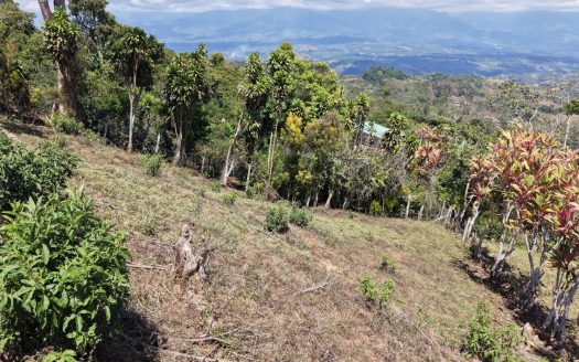 Land for Sale in Concepción de Platanares, Pérez Zeledón – 2,490 m² of Nature, Views and Tranquility