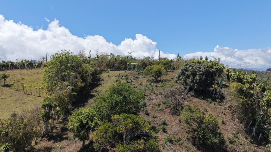 Views and Tranquility