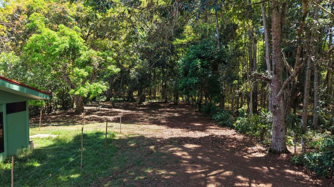 Costa Rica Real Estate