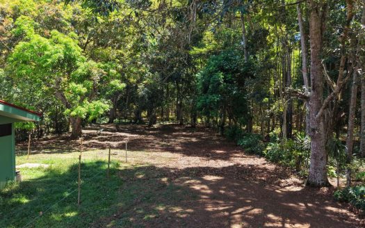 1,200 m2 Lot for Construction for Sale in Juntas de Pacuar: Flat Topography and Connectivity
