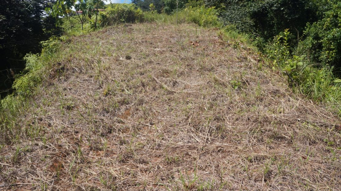 Costa Rica Real Estate