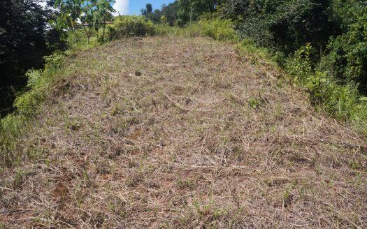 Invest in Your Future: Exclusive Gated Community Property