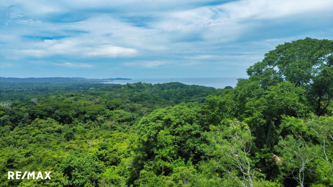 Development Opportunity in Ostional – 30 Acres with Ocean Views Guanacaste | REMAX
