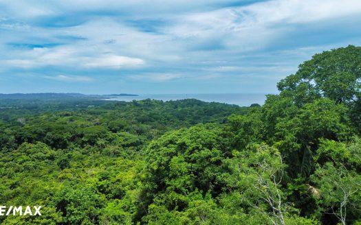 Development Opportunity in Ostional – 30 Acres with Ocean Views Guanacaste | REMAX